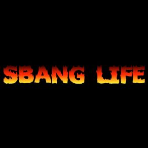 Download track Sbang Life 5 Aros