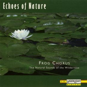 Download track Water Frogs Echoes Of Nature