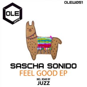 Download track Welcome Home (Original Mix) Sascha Sonido