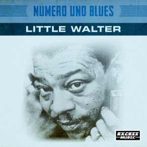 Download track Boom Boom Out Goes The Light Little Walter