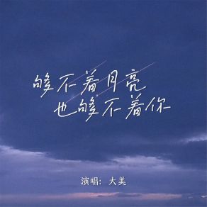 Download track 够不着月亮也够不着你 大美