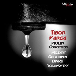 Download track Violin Concerto In D Major, Op. 35, TH 59: I. Allegro Moderato Walter Susskind, Hans Richter, Tibor Varga, Jean-Marie Auberson