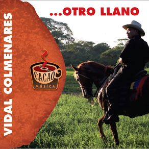 Download track Dibujando El Llano Vidal Colmenares