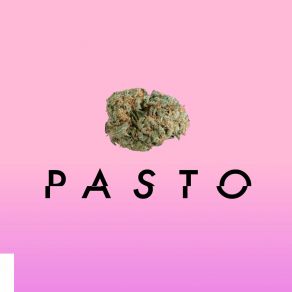 Download track Pasto Riley St. Carlo