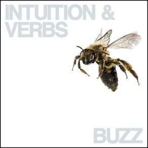 Download track Hip No Ties Verbs, Intuition