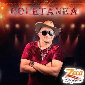 Download track Metendo O Louco Zeca Do Piseiro