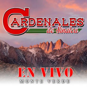 Download track Mi Castigo (En Vivo) Los Cardenales De Sinaloa