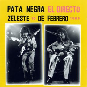 Download track Pata Palo (En Vivo) Pata Negra