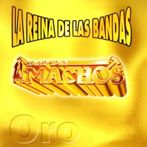 Download track La Negra Tete Banda Machos