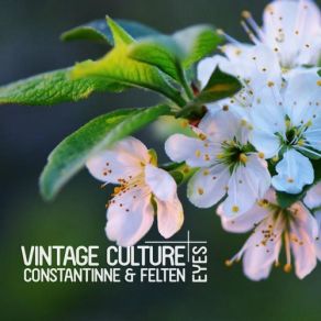 Download track Eyes (Original Mix) Vintage Culture, Felten, Constantinne