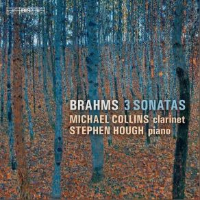 Download track 09. Clarinet Sonata No. 2 In E-Flat Major, Op. 120 No. 2 II. Allegro Appassionato Johannes Brahms