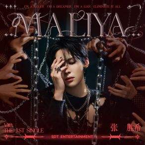 Download track MALIYA (Inst.) 张胜希