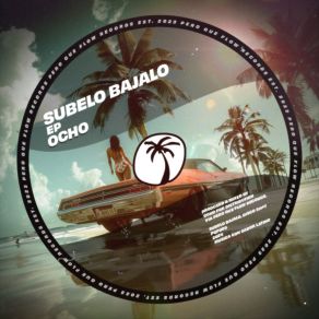 Download track Disco Sh * T (Original Mix) Ocho