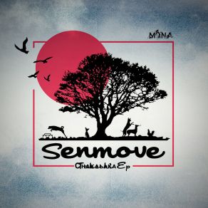 Download track Sinfonia Vaginal (Original Mix) Senmove