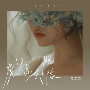 Download track 虎口怎么脱险 (伴奏) 刘垚垚