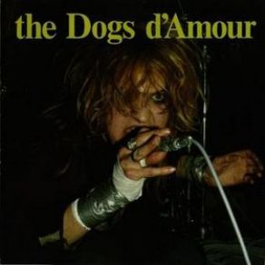 Download track Can'T Get You Out Of My Head The Dogs D'Amour