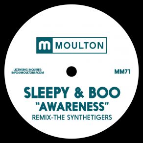 Download track Awareness (Original) Sleepy & Boo