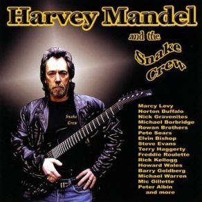 Download track Layin' Around Here With The Blues Harvey Mandel