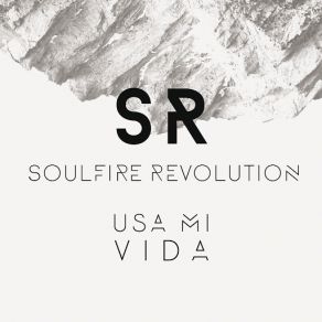 Download track Usa Mi Vida Soulfire Revolution