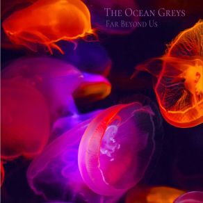 Download track All In For You The Ocean Greys