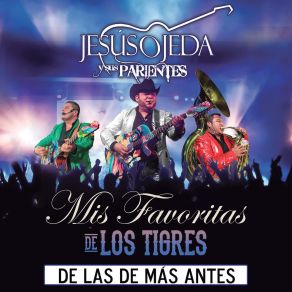 Download track Tan Bonita (En Vivo) Jesús Ojeda