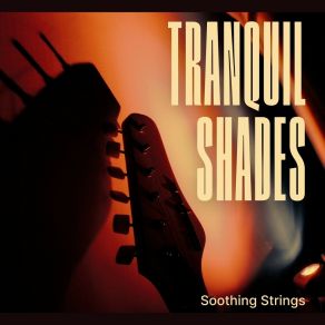 Download track Raindrops Stone Steps Soothing Strings