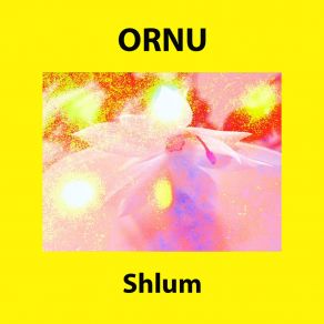 Download track Shlum 5 Ornu