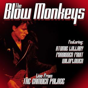 Download track The Man From Russia The Blow Monkeys