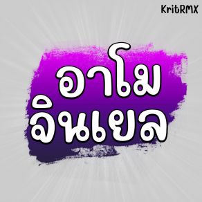 Download track อาโมจินเยล (Vocal Only) KritRMX