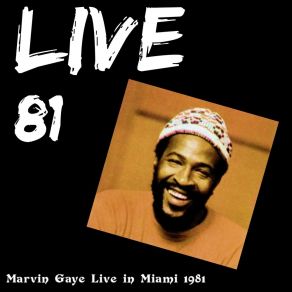 Download track Ain't No Mountain High Enough (Live) Marvin Gaye