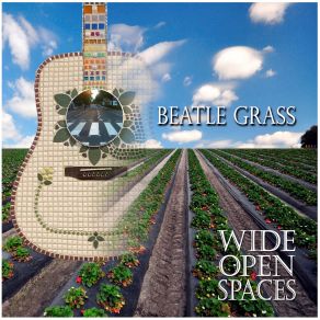 Download track I'm Looking Through You Wide Open Spaces