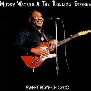 Download track County Jail Muddy Waters, Rolling Stones