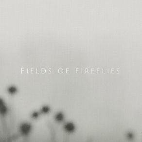 Download track Clouds Parting Fields Of Fireflies