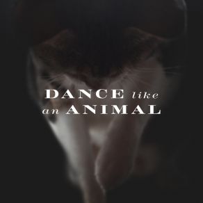 Download track Dance Like An Animal Grecale