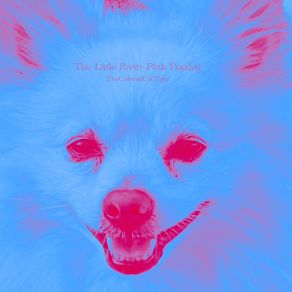 Download track The Pretty Dangerous Pink Popdog TheColoredCatTiger