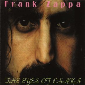 Download track The Torture Never Stops Frank Zappa