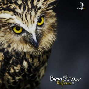 Download track Heavy Acid (Original Mix) Ben Straw