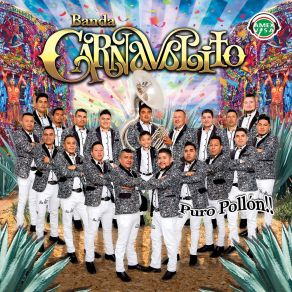 Download track Como La Palma De Mi Mano BANDA CARNAVALITO DE MICHOACAN