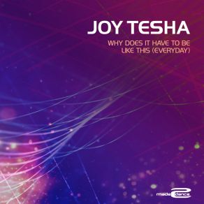 Download track Why Does It Have To Be Like This (Everyday) (Soulshaker Club Mix) Joy TeshaSoulshaker