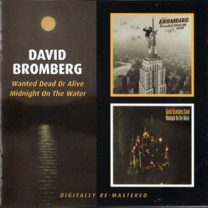 Download track I Like To Sleep Late In The Morning David Bromberg, David Bromberg Band