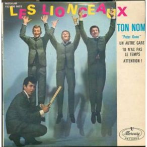 Download track Ton Nom (Peter Gunn) Les Lionceaux