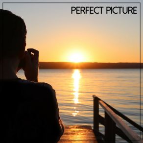 Download track Perfect Picture Anneli HeedJon Thomas