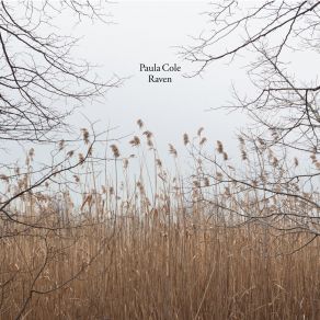 Download track Manitoba Paula Cole