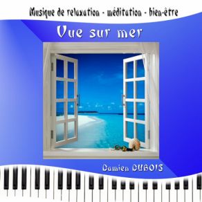 Download track Vue Sur Mer Damien Dubois