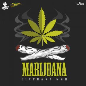 Download track Marijuana Elephant Man