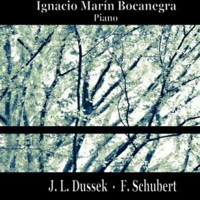 Download track Schubert Sonata D. 959. Scherzo. Allegro Vivace Ignacio Marin Bocanegra