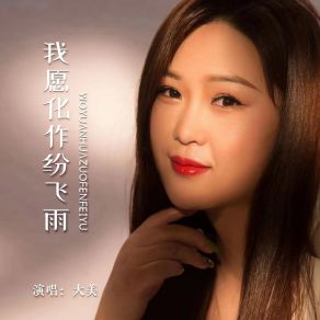 Download track 我愿化作纷飞雨 (伴奏) 大美