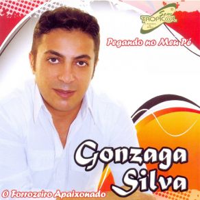 Download track Sou Nordestino Gonzaga Silva