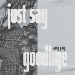 Download track Just Say Goodbye (Instrumental Version) Spring Gang