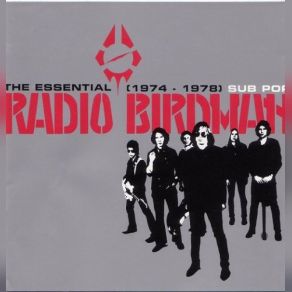 Download track Time To Fall Radio Birdman